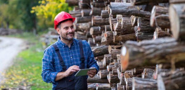 Czy fiński drwal może się wypalić?  Praca umysłowa i praca fizyczna, czyli jak rodzaj wykonywanej pracy chroni przed wypaleniem?