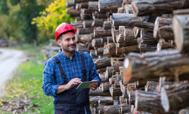 Czy fiński drwal może się wypalić?  Praca umysłowa i praca fizyczna, czyli jak rodzaj wykonywanej pracy chroni przed wypaleniem?
